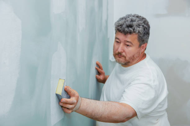 Best Water Damage & Mold Remediation  in Boulder City, NV
