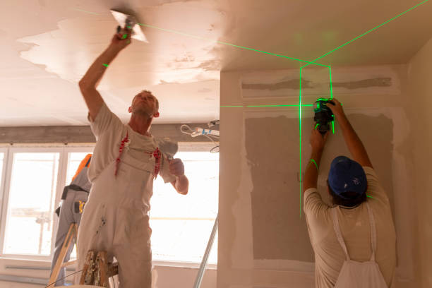 Best Real Estate Mold Inspection  in Boulder City, NV